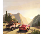 Hornbach Fototapete Vlies IADX6-032 Into Adventure Disney Cars Sundown 6-tlg. 300 x 280 cm