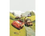 Hornbach Fototapete Vlies IADX4-034 Into Adventure Disney Cars Camping 4-tlg. 200 x 280 cm