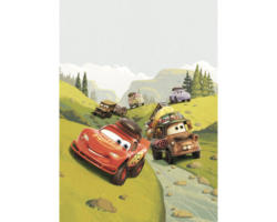 Fototapete Vlies IADX4-034 Into Adventure Disney Cars Camping 4-tlg. 200 x 280 cm