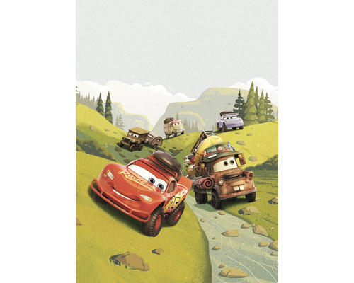 Fototapete Vlies IADX4-034 Into Adventure Disney Cars Camping 4-tlg. 200 x 280 cm