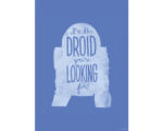 Hornbach Poster Star Wars Silhouette Quotes R2D2 40x50 cm