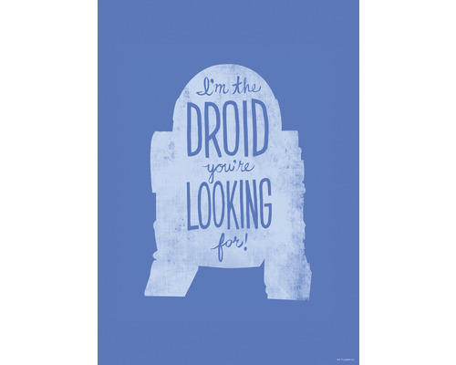 Poster Star Wars Silhouette Quotes R2D2 40x50 cm