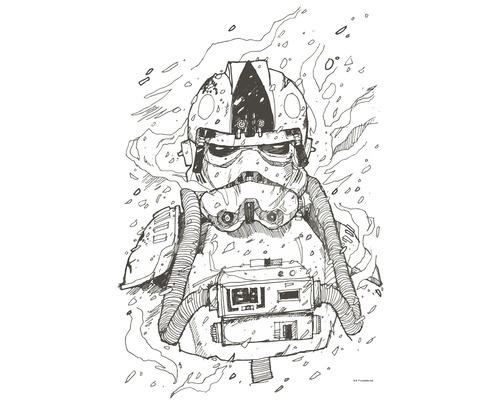 Poster Star Wars Pilot Drawing 50x70 cm