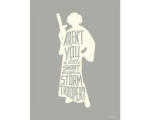 Hornbach Poster Star Wars Silhouette Quotes Leia 30x40 cm