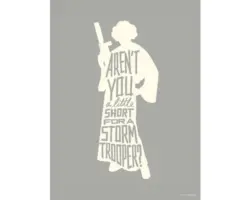 Poster Star Wars Silhouette Quotes Leia 30x40 cm