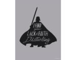 Hornbach Poster Star Wars Silhouette Quotes Vader 30x40 cm