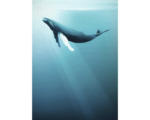 Hornbach Fototapete Vlies IAX4-0045 Into Adventure Artsy Humpback Whale 4-tlg. 200 x 280 cm