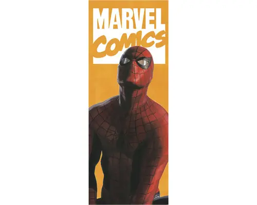 Fototapete Vlies IADX2-070 Into Adventure Spider-Man Comic 2-tlg. 100 x 250 cm