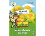 Hornbach Blumensamen FloraSelf Floralie-Gärtnern mit Kids Zwerg-Sonnenblume 'Teddybär'