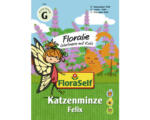 Hornbach Kräutersamen FloraSelf Floralie-Gärtnern mit Kids Katzenminze 'Felix'