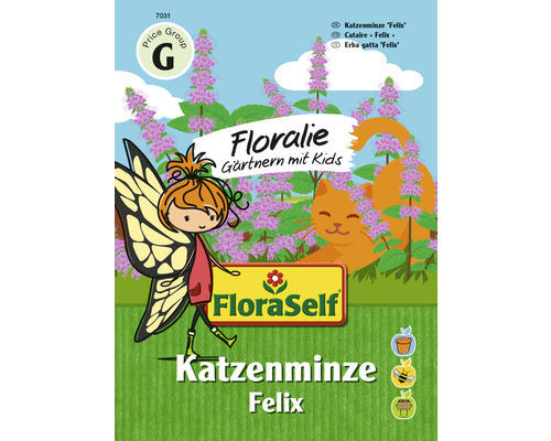 Kräutersamen FloraSelf Floralie-Gärtnern mit Kids Katzenminze 'Felix'