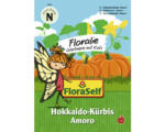Hornbach Gemüsesamen FloraSelf Floralie-Gärtnern mit Kids Kürbis 'Amoro'