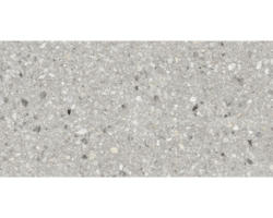 FLAIRSTONE Feinsteinzeug Terrassenplatte Terrazzo grigio rektifizierte Kante 120 x 60 x 2 cm