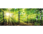 Hornbach Infrarot Bildheizung Marmony Forest 83026 100x40 cm 800 Watt