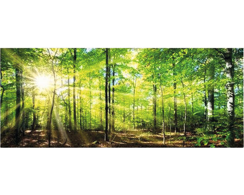 Infrarot Bildheizung Marmony Forest 83026 100x40 cm 800 Watt