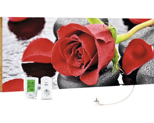 Infrarot Bildheizung Marmony Red Rose 83017 100x40 cm 800 Watt