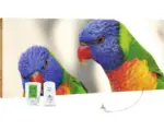 Hornbach Infrarot Bildheizung Marmony Birds 83011 100x40 cm 800 Watt