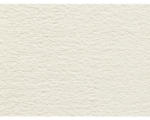 Hornbach Teppichboden Velours Hedwig hellbeige FB38 500 cm breit (Meterware)