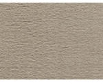 Hornbach Teppichboden Velours Hedwig dunkelbeige FB39 400 cm breit (Meterware)