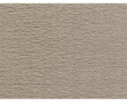 Teppichboden Velours Hedwig dunkelbeige FB39 500 cm breit (Meterware)