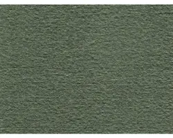 Teppichboden Velours Hedwig grün FB24 500 cm breit (Meterware)