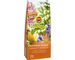 Hornbach Langzeitdünger für mediterrane Pflanzen Compo 1,5 kg
