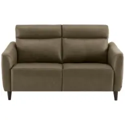 Zweisitzer-Sofa in Echtleder Grau