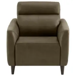 Sessel in Echtleder Braun