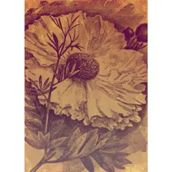 Fototapete 200/280 cm