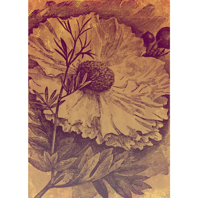 Fototapete 200/280 cm