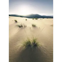 Fototapete 200/280 cm