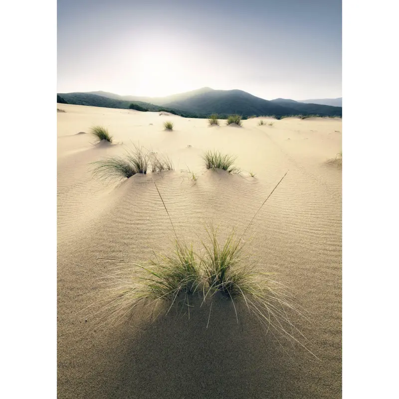 Fototapete 200/280 cm