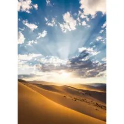 Fototapete 200/280 cm