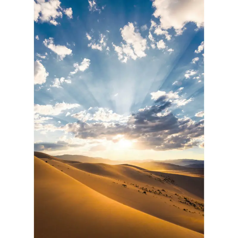 Fototapete 200/280 cm