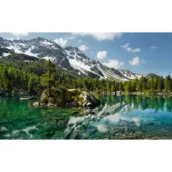 Fototapete 450/280 cm