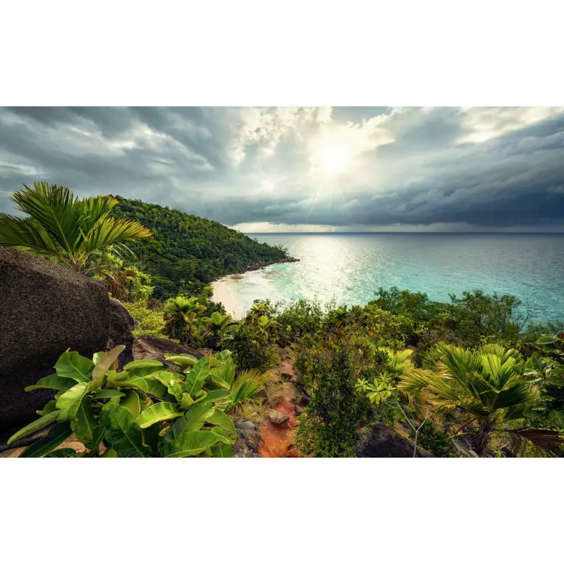 Fototapete 450/280 cm