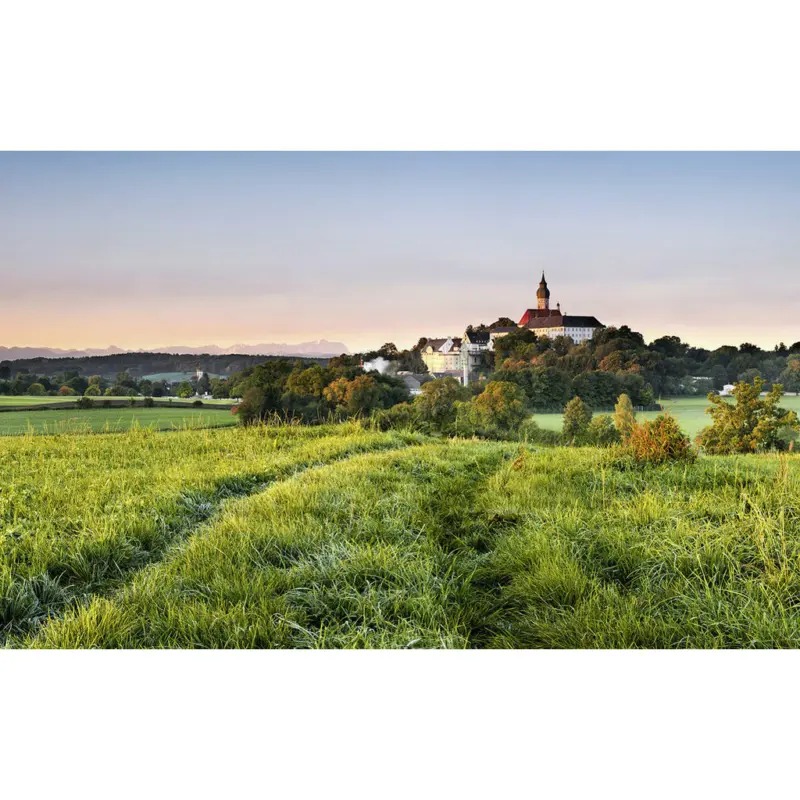 Fototapete 450/280 cm