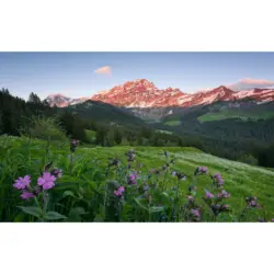 Fototapete 450/280 cm