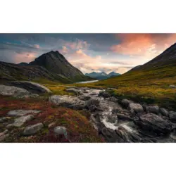 Fototapete 450/280 cm