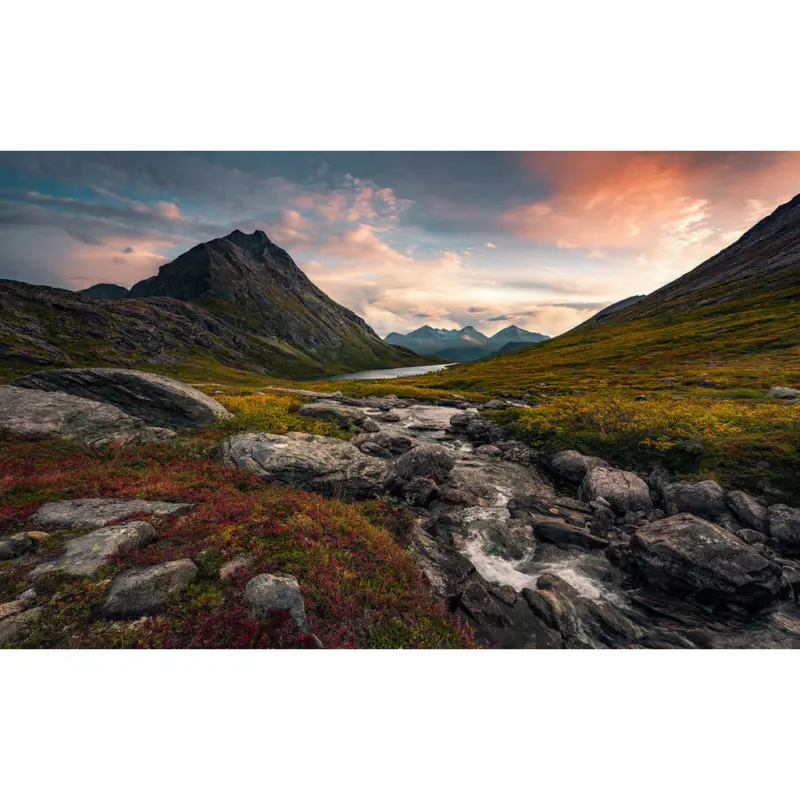 Fototapete 450/280 cm