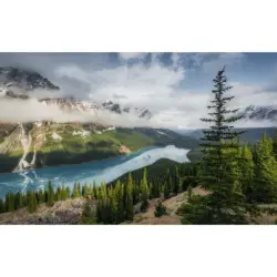 Fototapete 450/280 cm