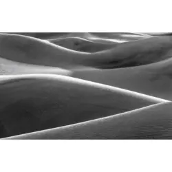 Fototapete 450/280 cm