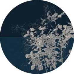 Fototapete 125/125 cm