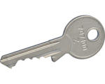 Hornbach Z-Schlüssel für Netz NÖ EVN, Nr. 707100, edelstahl