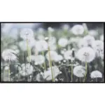 XXXLutz Lauterach - Ihr Möbelhaus bei Bregenz Kunstdruck 120/70 cm