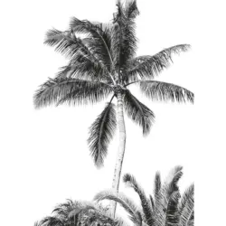 Fototapete 200/280/1 cm