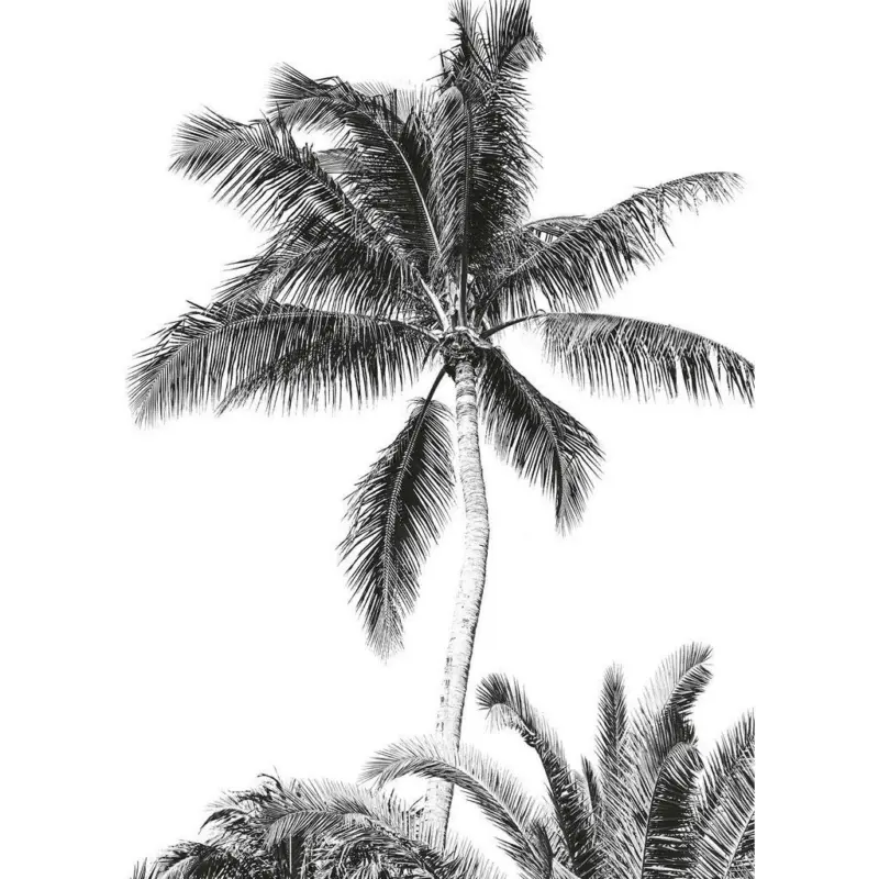 Fototapete 200/280/1 cm