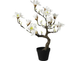 Kunstpflanze Magnolienbaum Höhe: 71 cm weiß