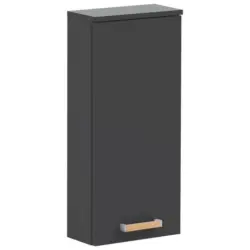Hängeschrank 32,7/72,3/16,3 cm
