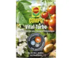 Hornbach Spurennährstoff-Dünger Compo Vital Turbo 20 g